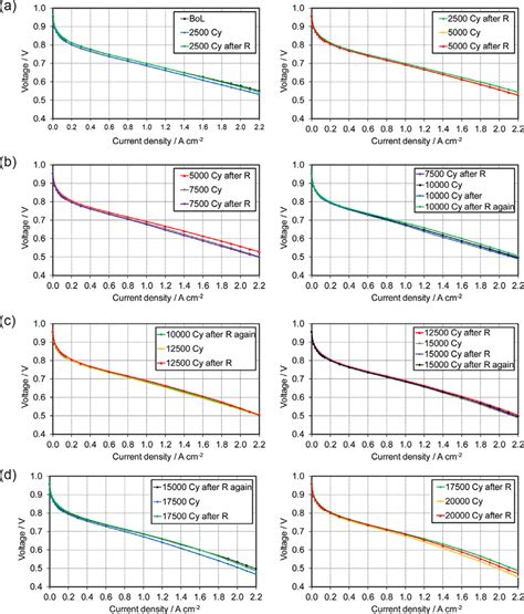 Cell Component Accelerated Stress Test and Polarization Curve 